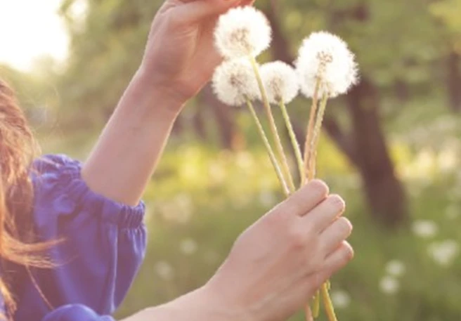 How to prepare for seasonal allergies